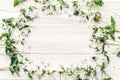 Fresh daisy lilac flowers and green herbs frame on white wooden Royalty Free Stock Photo