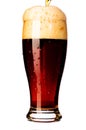 Fresh dark beer Royalty Free Stock Photo