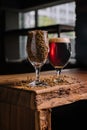 Fresh dark beer with a glass of wheat Royalty Free Stock Photo