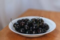 Fresh ripe dark black huge sweet cherries and water drops Royalty Free Stock Photo