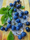 Fresh, dark blue plums scattered on the table Royalty Free Stock Photo