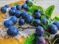 Fresh, dark blue plums scattered on the table Royalty Free Stock Photo