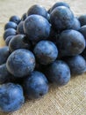 Fresh, dark blue plums scattered on the table Royalty Free Stock Photo
