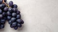 Fresh Dark Grapes Cluster On Gray Background Royalty Free Stock Photo