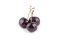 Fresh dark purple cherry isolated background