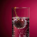 Fresh dark red cherry immersed in sparkling water against vibrant red background Royalty Free Stock Photo