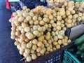 Fresh dates in Carmel market, Tel Aviv Royalty Free Stock Photo