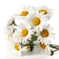 Fresh and delicate daisy bouquet with vibrant colors, isolated on white. Aesthetic and elegant floral composition. Generative AI