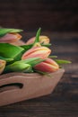 Fresh delicate red yellow flowers tulips on a dark wooden background Royalty Free Stock Photo