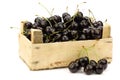 Fresh delicious cherries in a wooden box