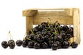 Fresh delicious cherries in a wooden box