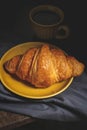 Fresh and delicious classic french croissant