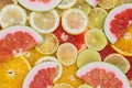 Fresh delicious colorful slices of citrus. Healthy eating, diet, vitamins