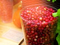 Fresh and delicious cranberries - fruits and vegetables Royalty Free Stock Photo