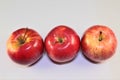 Fresh delicious gala apples isolated on white