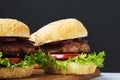 Fresh and delicious home made burgers. Royalty Free Stock Photo