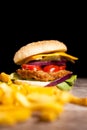 Fresh Delicious home made burgers on wooden plate and black back Royalty Free Stock Photo