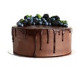 Fresh delicious homemade chocolate cake with berries Royalty Free Stock Photo