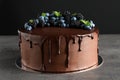 Fresh delicious homemade chocolate cake with berries Royalty Free Stock Photo