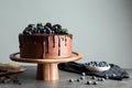 Fresh delicious homemade chocolate cake with berries on table against gray background Royalty Free Stock Photo