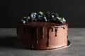 Fresh delicious homemade chocolate cake Royalty Free Stock Photo