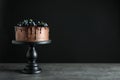 Fresh delicious homemade chocolate cake Royalty Free Stock Photo