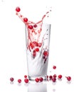 Fresh delicious lingonberry falls into a long glass of yogurt, Generative AI