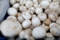 Fresh, delicious organic button mushrooms on a farmers market stall in the UK