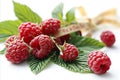 Fresh and delicious raspberry on white background for advertising and promotional materials