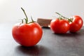 A fresh delicious red organic tomato and few tomatoes on a background lays on a table, horizontal image Royalty Free Stock Photo