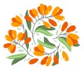 Fresh delicious ripe sea buckthorn berries vector flat illustration isolated on white, natural diet food vegetation tasty eating,