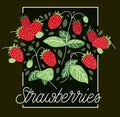 Fresh delicious ripe wild strawberries vector flat illustration on dark background, natural diet food vegetation tasty eating,