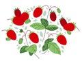 Fresh delicious ripe wild strawberries vector flat illustration isolated on white, natural diet food vegetation tasty eating,