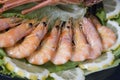 Fresh and delicious seafood -