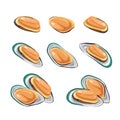 Fresh Mussels. Seafood vector illustration in cartoon style. Royalty Free Stock Photo
