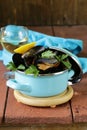 Fresh delicious seafood mussels Royalty Free Stock Photo