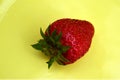 Fresh and delicious strawberries 4 Royalty Free Stock Photo