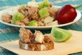 Fresh and delicious tuna salad Royalty Free Stock Photo