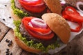 Fresh delicious veggie black bean burgers close-up. horizontal