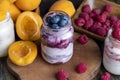 Fresh delicious yogurt made from milk with berry flavor