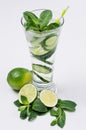 Fresh detox spring cocktail of cucumber, lime, mint, straw with bubbles, drops on soft white wooden background in high glass. Royalty Free Stock Photo