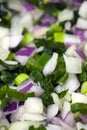 Fresh diced red and green onions Royalty Free Stock Photo