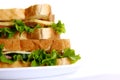 Fresh diet sandwich with salad