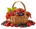 Fresh different berries Royalty Free Stock Photo