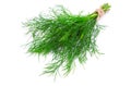 Fresh dill