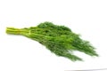 Fresh dill Anethum graveolens isolated on white background Royalty Free Stock Photo