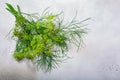 Fresh Dill Anethum graveolens leaves, florets, fruits atop grey textured backdrop w/ copy space, top view