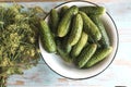 Fresh dill bunch and cucumbers on the table. Royalty Free Stock Photo