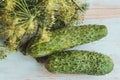 Fresh dill bunch and cucumbers on wooden background. Royalty Free Stock Photo