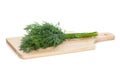 Fresh dill bunch